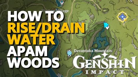 apam woods|How to reduce water level in Apam Woods: Genshin Impact